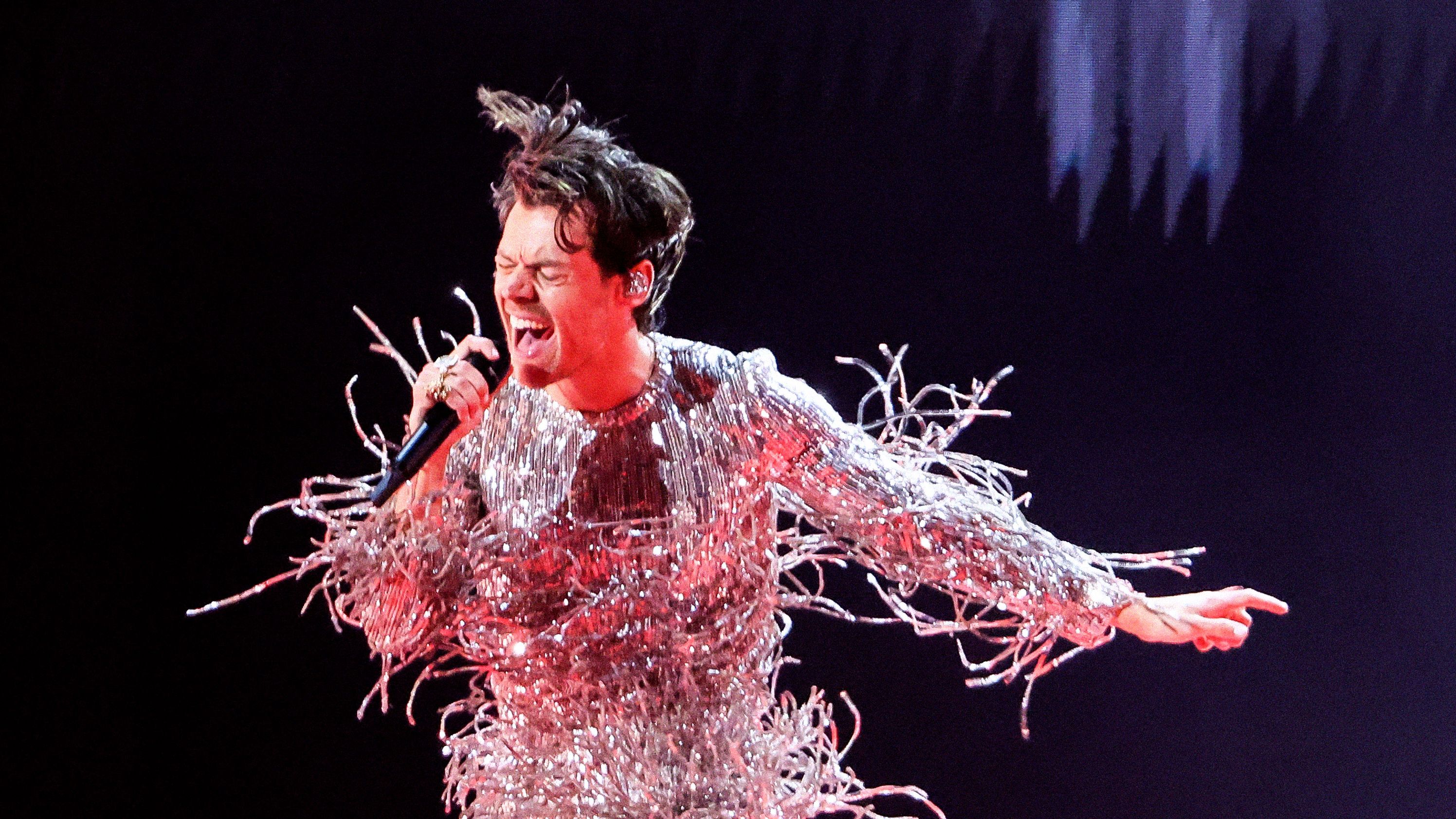 Harry Styles's New Album Title Sounds Like Solid Life Advice