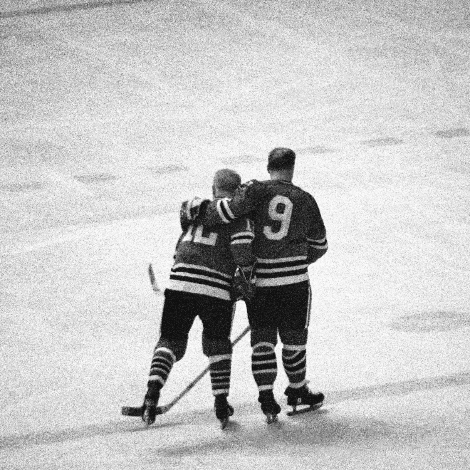 Heated Rivalry and the Big Business of Hockey Romance Novels